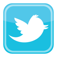 twitter bird icon